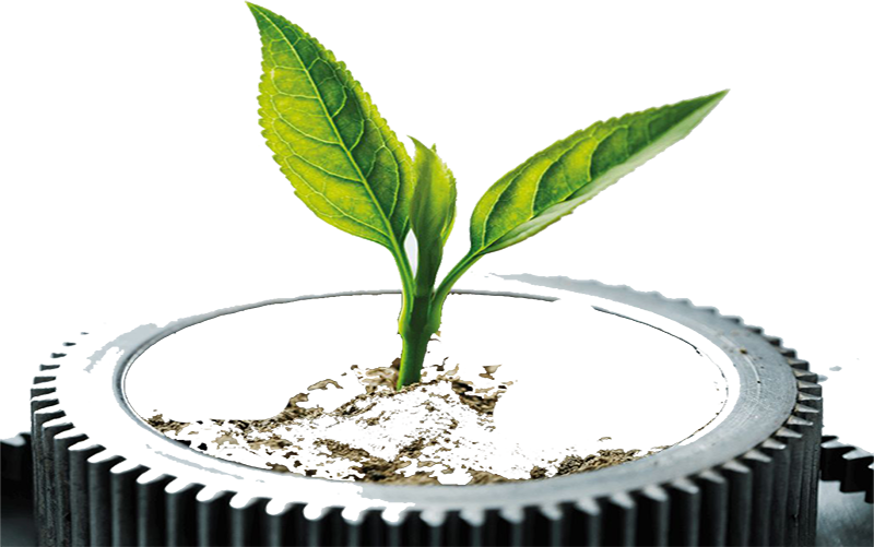 tyres-pro-disposal2.jpg (2)